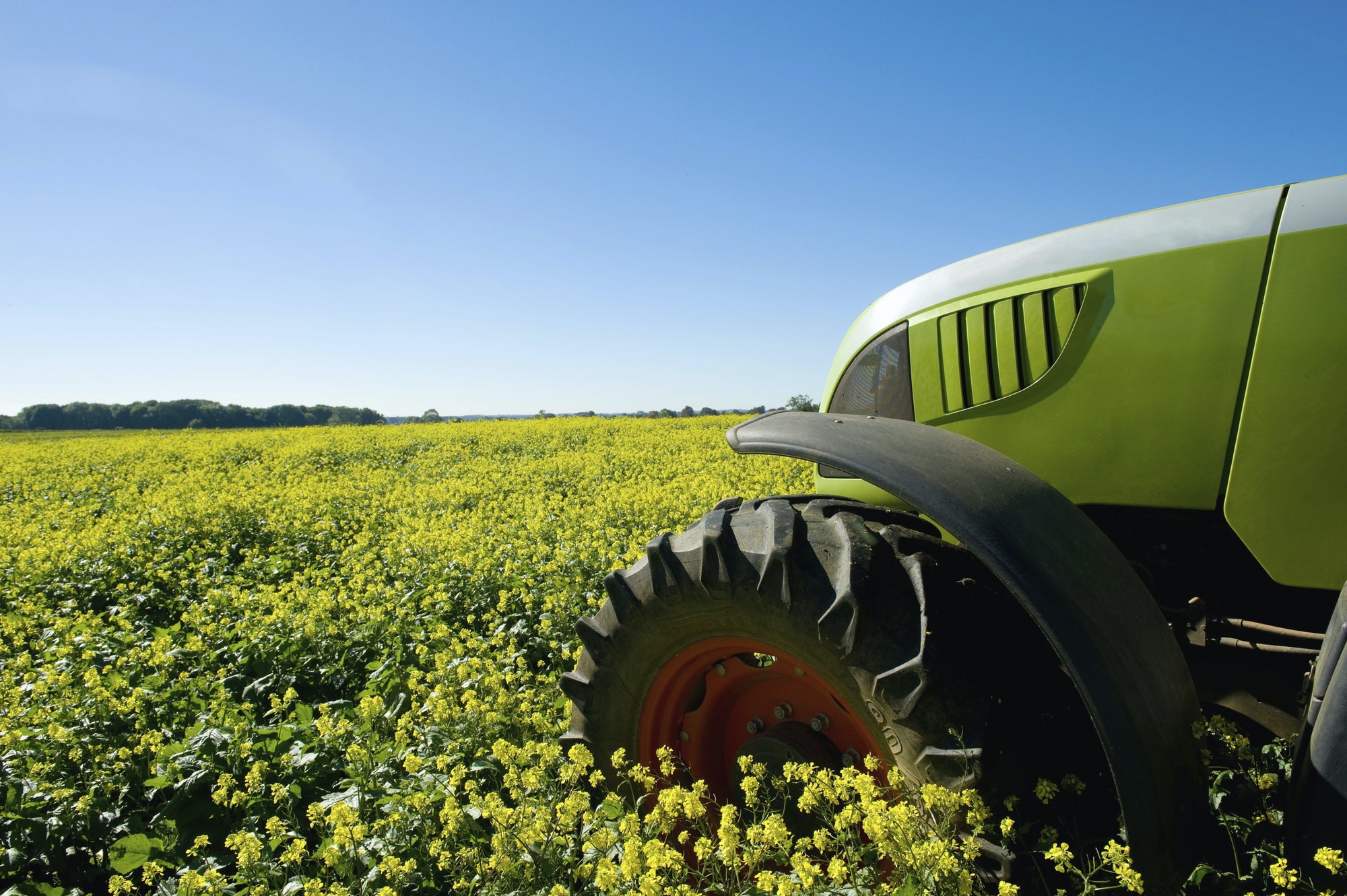 A tractor in a field of crops in an open landscape.